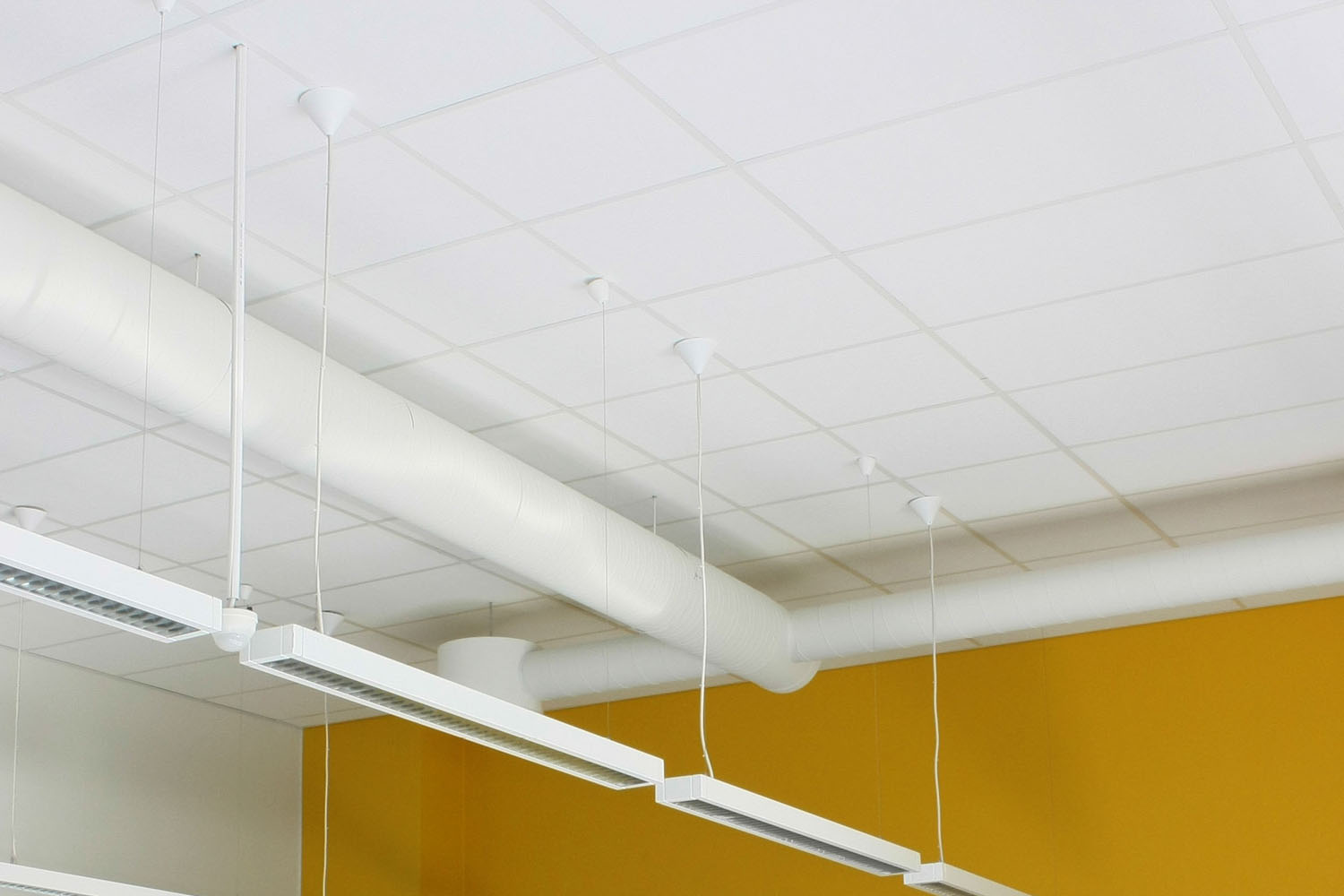 أسقف جبسية مطلية